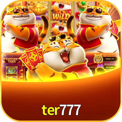 Logo ter777